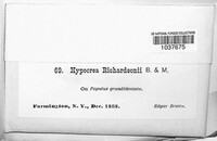 Image Associated With the Occurence